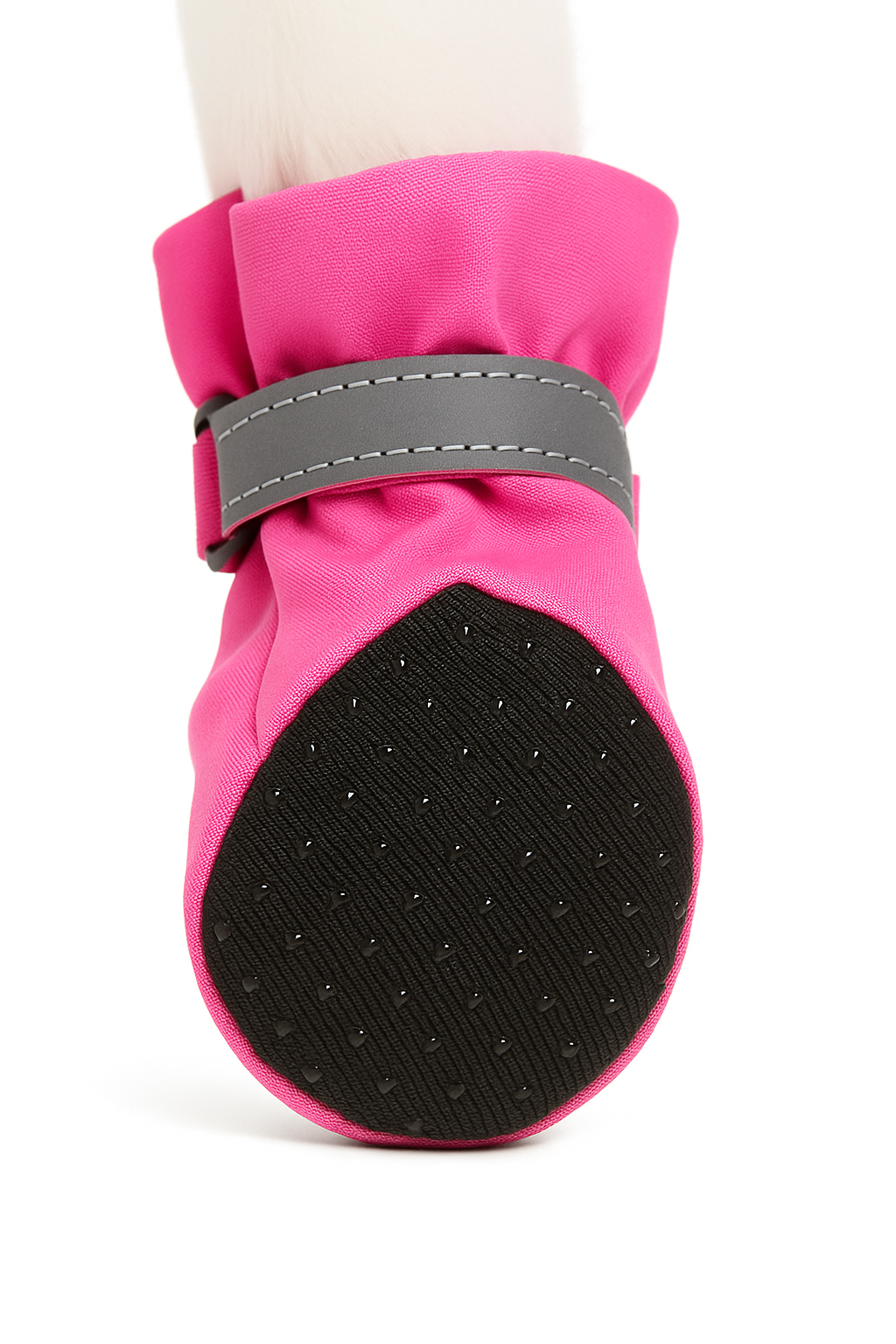 🐾 PawConfort – Chaussures de protection pour pattes d’animaux